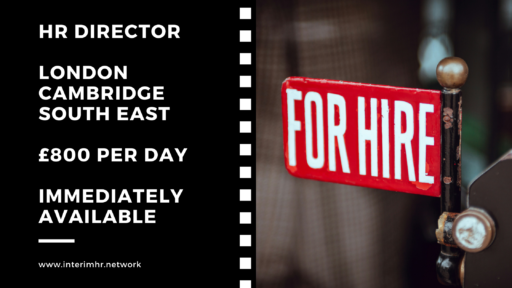 Immediately Available: Interim HR Director – UK Flex – c£800 per day